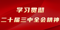 24厚NBA籃球場木地板主輔龍骨結構